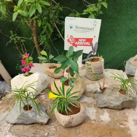 Pet-Friendly Balcony Decor for Pet Owners: Safe and Stylish Solutions for Your Furry Friends!